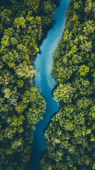 Aufkleber - Showcasing the stunning beauty of nature from a bird's eye view: a vibrant blue river winding through a lush green forest