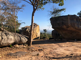 nature, rock, landscape, tree, stone