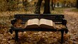 © QualityFocus - An open book on an empty park bench in autumn, pages gently turning, conveying stories of personal history and past.
