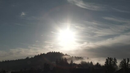 Wall Mural - Sun shining bright over forest trees with dense fog rolling through the valley floor.