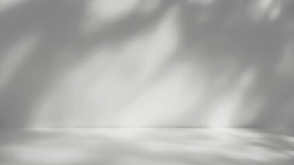 abstract silhouette tree branchs on white wall in the evening sunlight background, beautiful natural