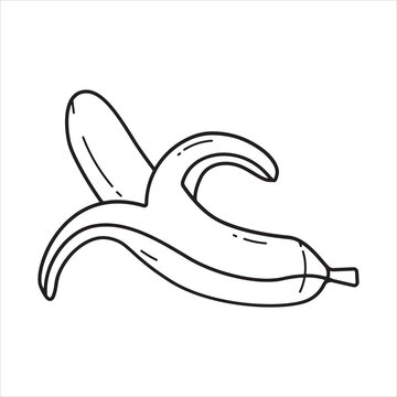 Banana line drawing fruit art for coloring pages illustration vector