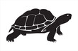 © Fuad Nafiz - Turtle animal black and white silhouette illustration vector