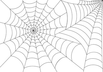 Vector drawing of outline cobweb silhouette in black color, on white background