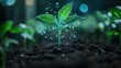 © Johannes - Sustainability Growth Green Plant Sprouting in Soil with Data Visualization of Economic Growth Metrics, Representing Eco Friendly Development, Business Analytics, and Environmental Progress
