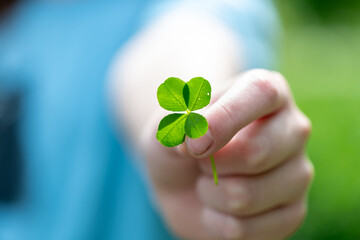 a child's hand holds a plucked green four-leaf clover, a symbol of good luck