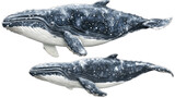 Big Whale Illustrations on Transparent Background Generative AI
