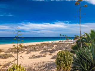Wall Mural - aerial drone view of costa calma beach during the sunset,fuerteventura, canary islands