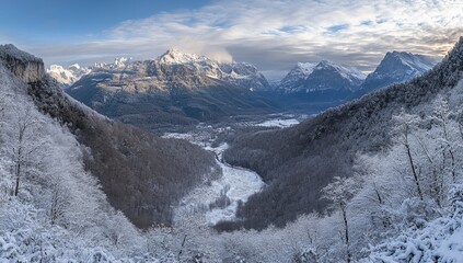 Wall Mural - Winter landscape with orange trees on snowy mountains and glowing sunlight. Carpathians mountain, Ukraine, Europe.