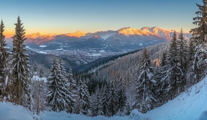 Wall Mural - Winter landscape with sun-drenched snowy mountains glowing in the morning light. Dramatic scene with frozen snowy trees during the holiday season.