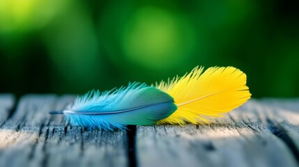 A yellow and blue feather sitting on top of a wooden table