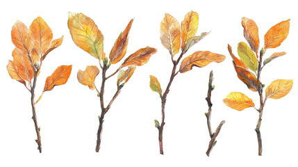 Poster - Fall Leaf Watercolor Illustrations on Transparent Background Generative AI