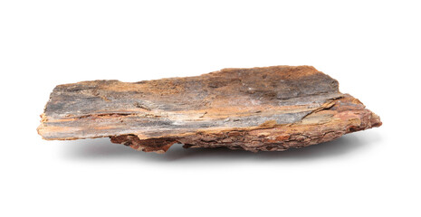 One piece of tree bark on white background