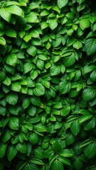 Wall Mural - An abundant array of lush tropical green leaves forming a vibrant background, exotic, green, lush