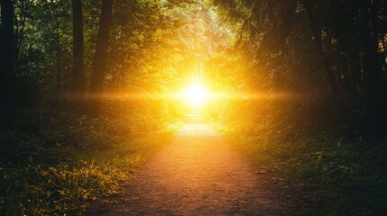 Poster - Focus point of light illuminating a path through a dark forest, showing clarity in business planning.