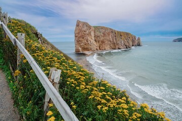 the wild ocean and percé rock and a trail going up the hill with a picket fence and yellow wildflowe