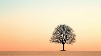 Poster - Lonely tree silhouette against a serene pastel sky at sunset.