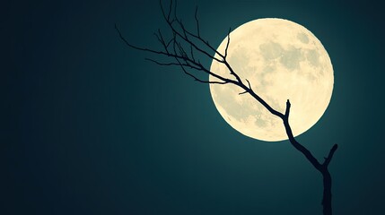 Poster - Full moon shining brightly against a dark blue sky with a bare branch in silhouette.