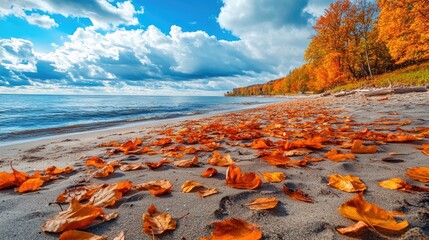 Sticker - Vibrant autumn leaves scattered on a sandy beach create a picturesque scene. The ocean view captures the essence of fall on a calm day in a wide-angle perspective, ensuring ample space for creativity.