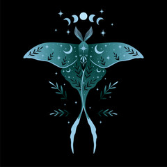 Wall Mural - blue moon moth illustration. for cards, invitations, t-shirts and more.