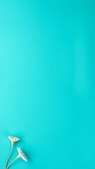 Poster - White flowers on a bright turquoise background, minimalistic floral concept