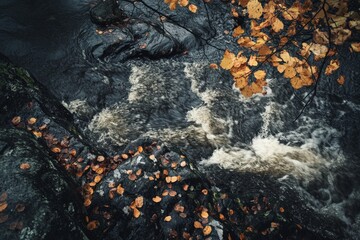 Poster - A river flows vigorously through a landscape rich with autumn leaves on rocks and trees, showcasing nature's vivid transition from one season to another.