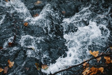 Poster - A picturesque view of a flowing water stream surrounded by scattered autumn leaves, capturing the serene yet powerful essence of nature's seasonal changes.