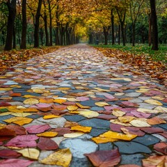 Wall Mural - Autumn park pathway covered in a colorful mosaic of fallen leaves 