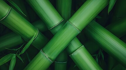 Aufkleber - Towering green bamboo stalks in a tranquil dense forest setting of Kyoto Japan s iconic natural landscape  This serene lush environment offers a peaceful zen like ambiance