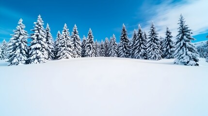 Poster - snow covered pine forest in Norway under the enchanting glow of the mesmerizing Northern Lights creating a breathtaking and ethereal winter landscape