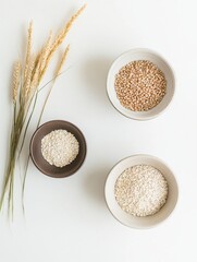Poster - Various grains including oats, rice, and corn arranged in stylish bowls on a clean white background with dried wheat plants. Generative AI