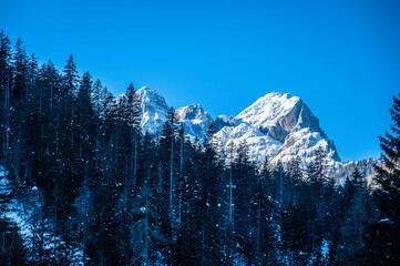 Julian Alps immersed in snow. Riofreddo Valley, wild and magical