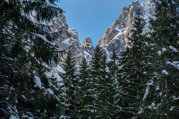 Julian Alps immersed in snow. Riofreddo Valley, wild and magical