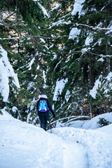 Wall Mural - Julian Alps immersed in snow. Riofreddo Valley, wild and magical