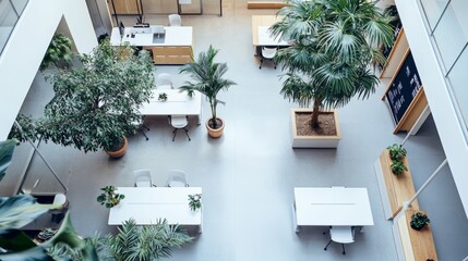 Poster - Bird-eye view of a modern office with white desks, a few green plants, and clean lines, giving an open, uncluttered feel.