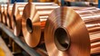 © GenZGraphics - Copper foil rolls are placed in a metal rolling facility