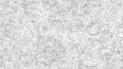 Poster - Abstract line art texture with flowing contours and varying shades of gray, creating a dynamic visual effect.