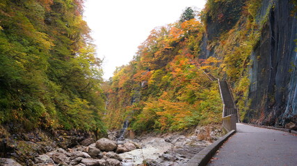 Poster - 秋田 山の紅葉