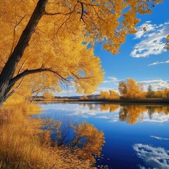 Wall Mural - Golden fall foliage reflected in a peaceful lake