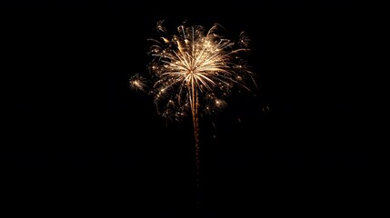 A single golden firework exploding in the night sky