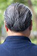 © 9nong - Back head portrait of middle aged Asian man, with minor hair loss as a sign of aging, concept image for hair fall, alopecia, grey hair, aging process, outdoor scene