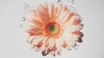 Poster - A delicate flower submerged in water, showcasing its beauty and intricate details.