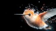 © ngamaz - A hummingbird with a splash of water droplets in flight, isolated on a black background.