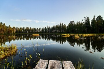 Serene lake surrounded by lush pine forests. The calm water reflects the blue sky