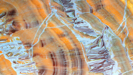 Poster - A large piece of stone with a pattern of brown and white swirls. The stone appears to be a type of marble, and it has a unique and intricate design. Scene is one of awe and admiration