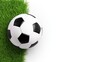 © KN Studio - Soccer Ball on Grass: Classic black and white soccer ball resting on lush green grass against a clean white background, perfect for sports-themed designs and websites.