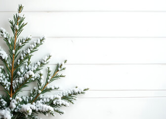 Poster - Winter scene of fir branches and gentle snowfall set against a simple wooden white background in a festive holiday atmosphere