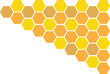 © Paradorn - Hexagon Cell Honey