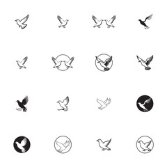 Wall Mural - Seagul bird logo icon vector