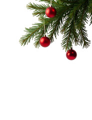 Poster - Decorative Christmas tree branch with bright red baubles in a crisp white background featuring a clean and isolated PNG image with no border